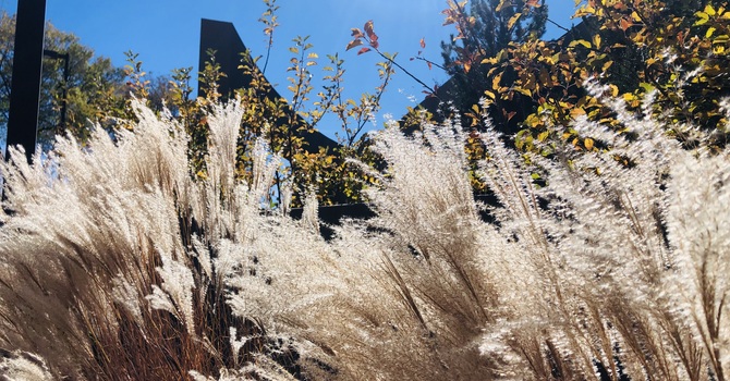 New Membership Class