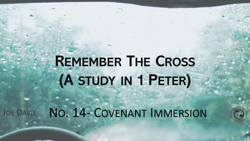 No.14- Covenant Immersion