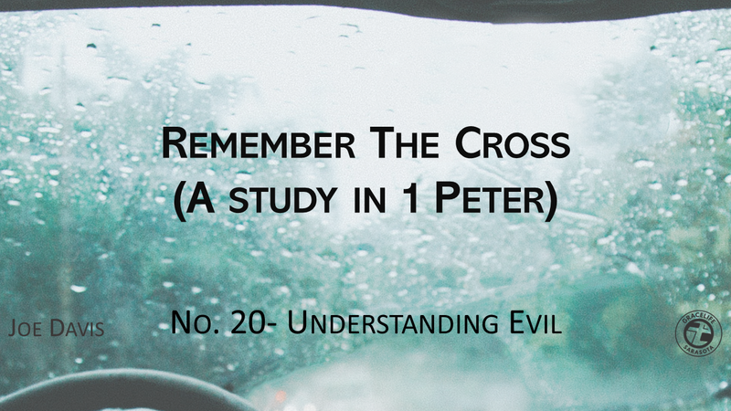 No.20- Understanding Evil
