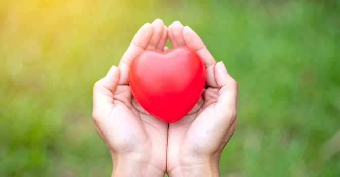 Volunteer Clearance Information