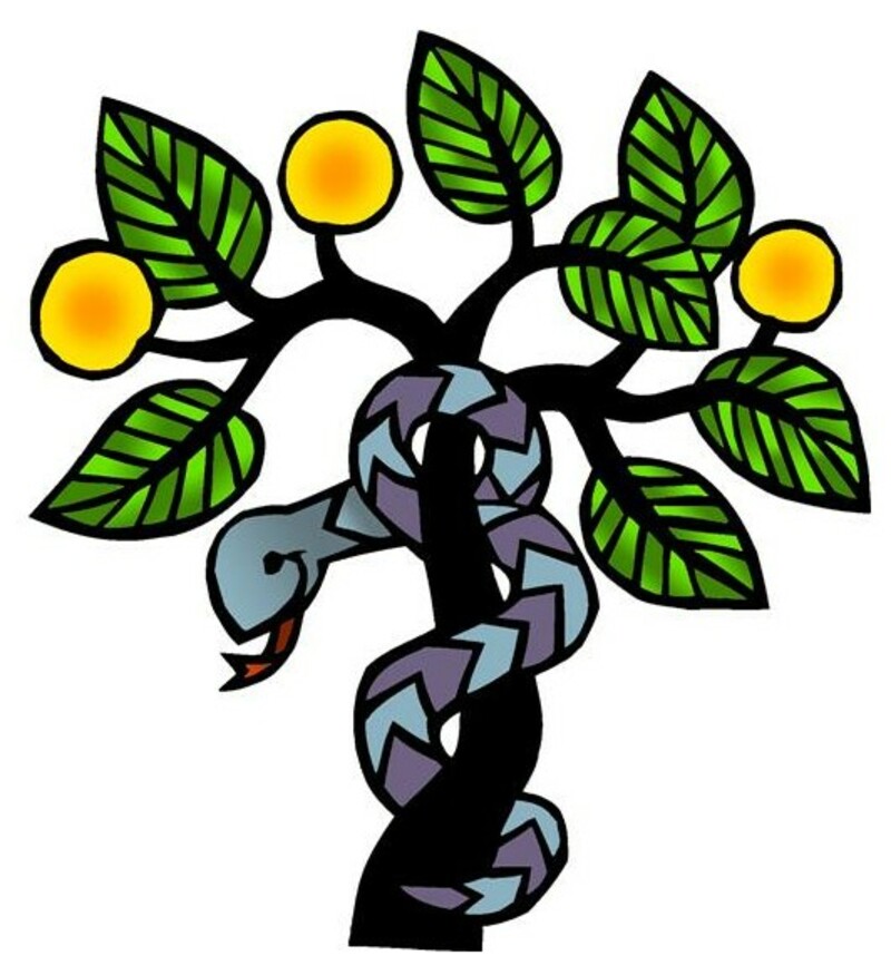 Sunday, February 22, 2026 - First Sunday in Lent