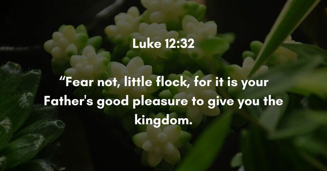 Luke 12:32 image