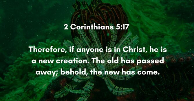 2 Corinthians 5:17 image