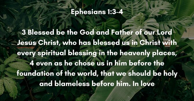Ephesians 1:3-4 image