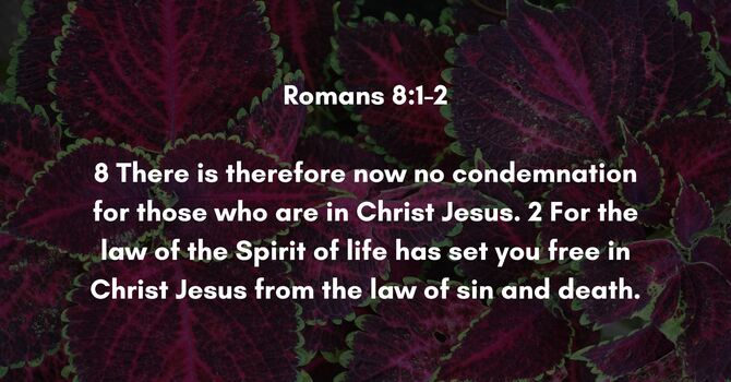 Romans 8:1-2 image