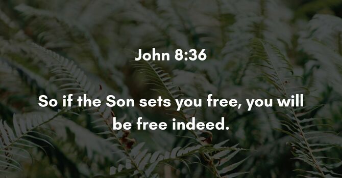 John 8:36 image