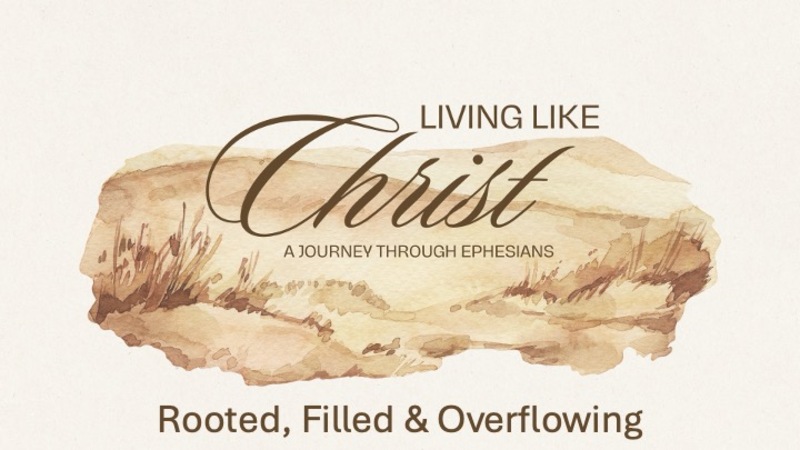 Rooted, Filled & Overflowing