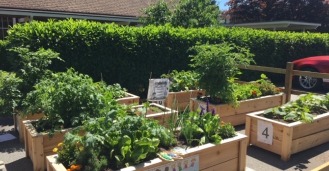 Summer Garden News Update  image