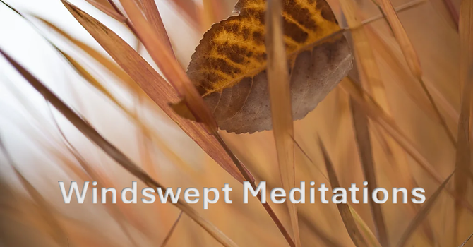 Windswept Meditations: Deep Calls Unto Deep