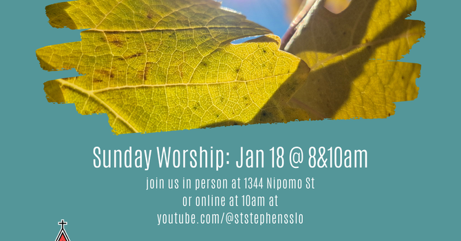 Second Sunday after The Epiphany and Rector's Report image