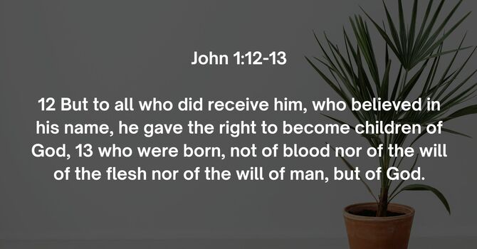 John 1:12-13 image