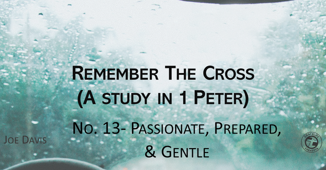 No.13- Passionate, Ready, & Gentle