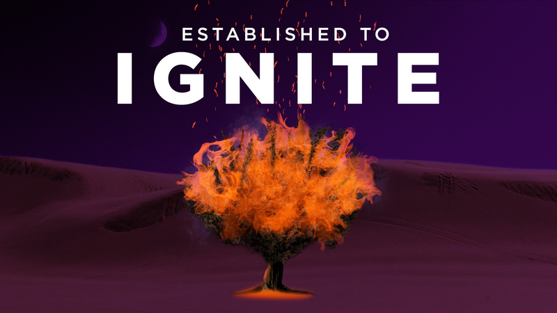 Established to Ignite