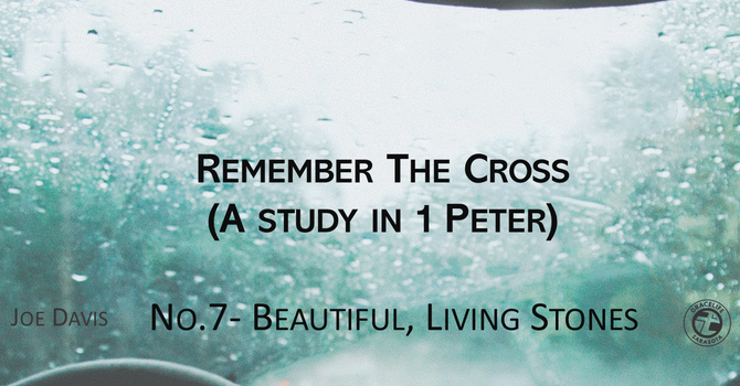 No.7- Beautiful Living Stones