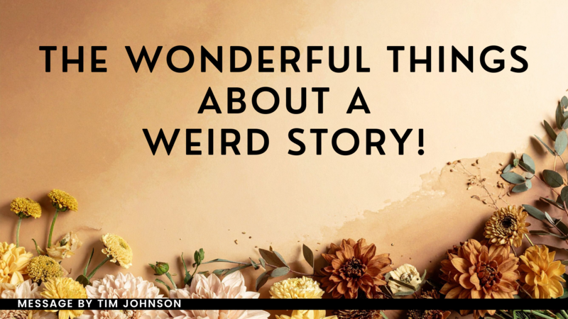 The Wonderful Things About a Weird Story