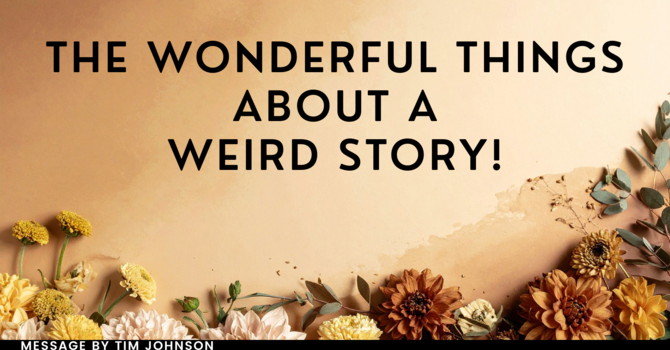 The Wonderful Things About a Weird Story