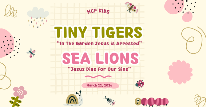 Sunday Children's Ministry