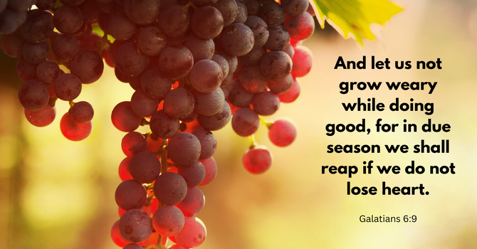 Expect the Harvest! image