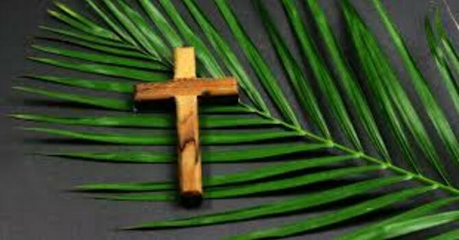 Palm Sunday 