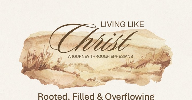 Rooted, Filled & Overflowing