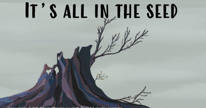 "It's all in the Seed"