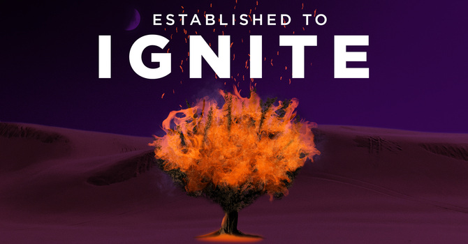 Established to Ignite