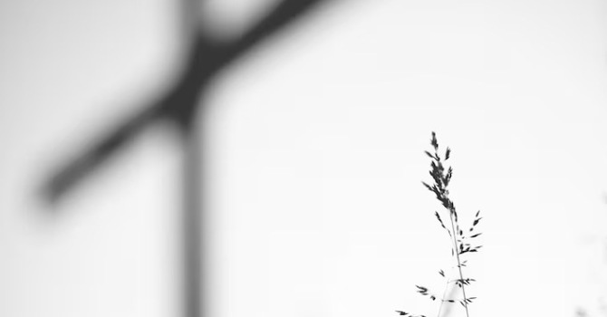 Walking Softly in the Wilderness