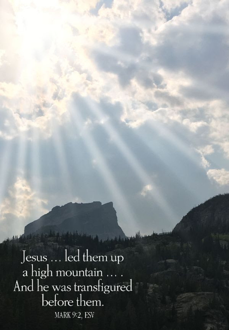 Coming Down the Mountain: Following Christ in the Midst of Conflict 2/15/26