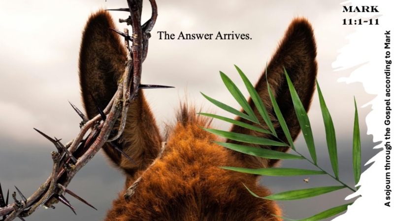 The Answer Arrives (pt. 8): The Rescue