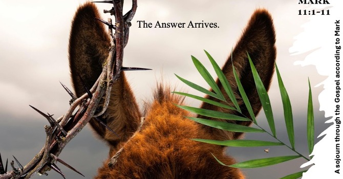 The Answer Arrives (pt. 8): The Rescue