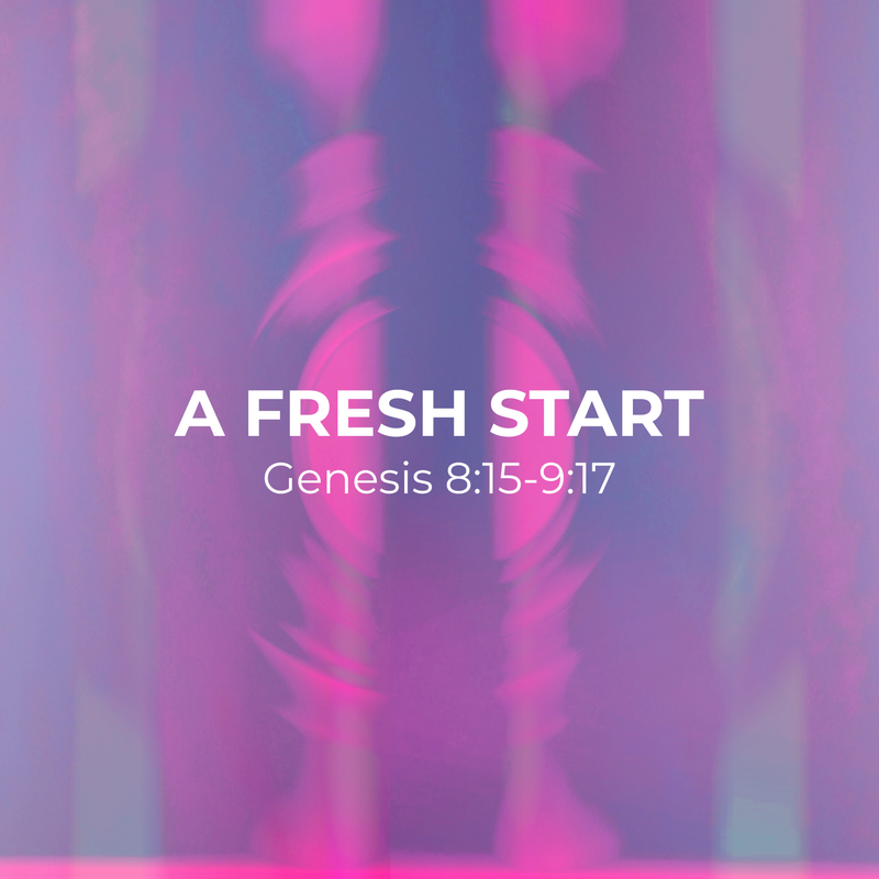 Genesis 8:15-9:17