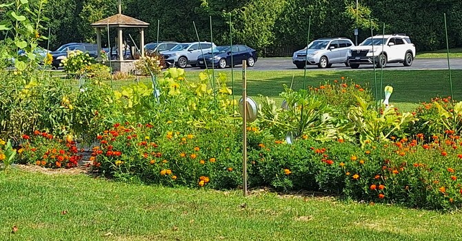 15th Annual Toilet Paper Drive