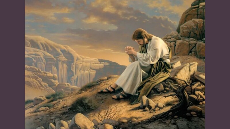 Tempted & Tested in the Wilderness