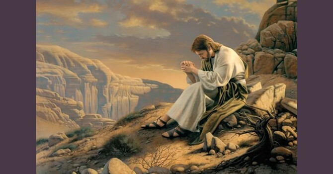 Tempted & Tested in the Wilderness