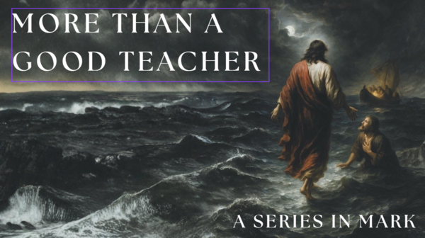 More Than A Good Teacher