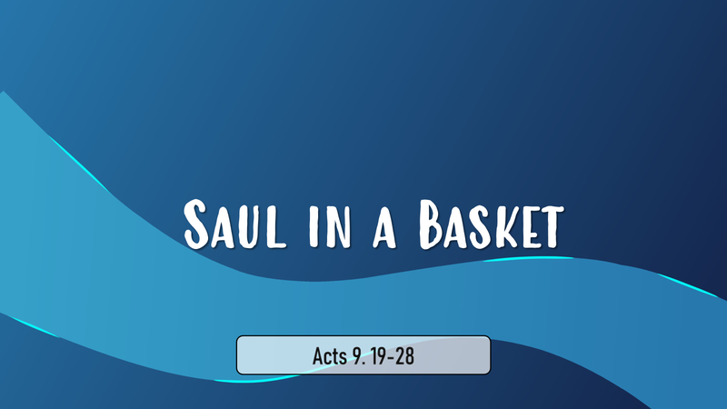 Saul in a Basket
