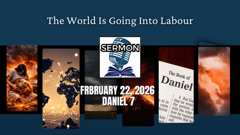  The World Is Going Into Labour