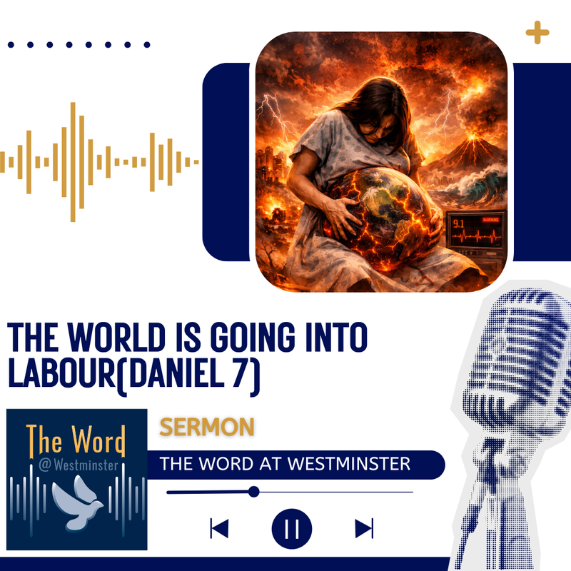 The World Is Going Into Labour