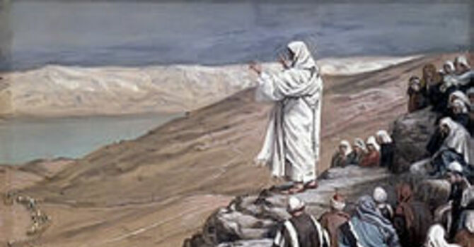 The Merciful & The Pure