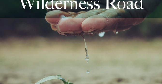 Renewed In Merry  image