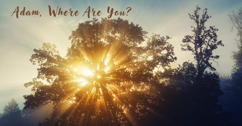  Adam, Where Are You?