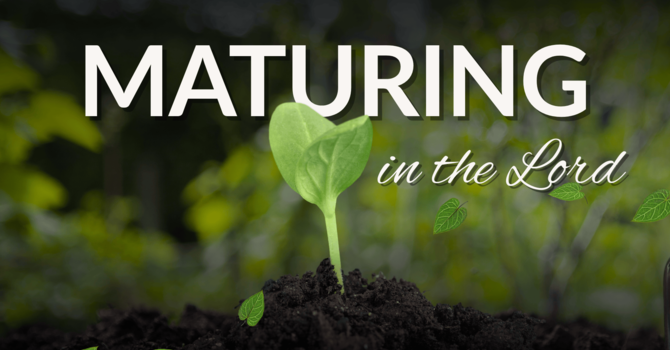 Maturing in the Lord