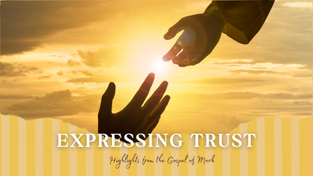 Expressing Trust