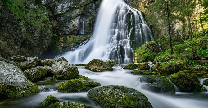 February 23, 2026 Devotion image