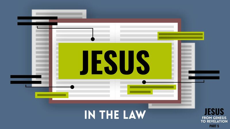 Jesus in the Law