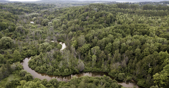 Let the Lord Reset Your Life