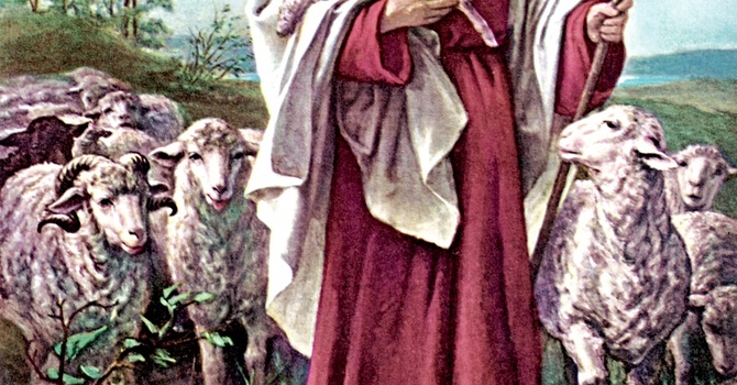 The Good Shepherd
