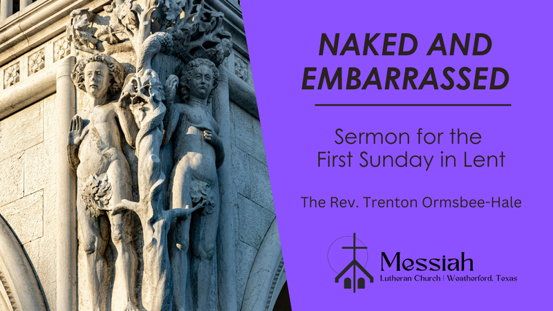 Naked and Embarrassed