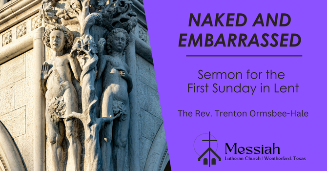 Naked and Embarrassed