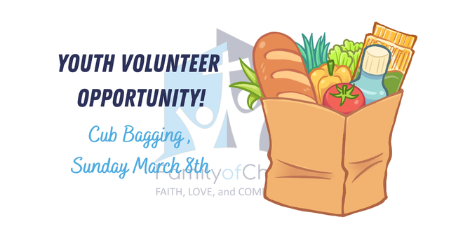 Youth Volunteer Opportunity